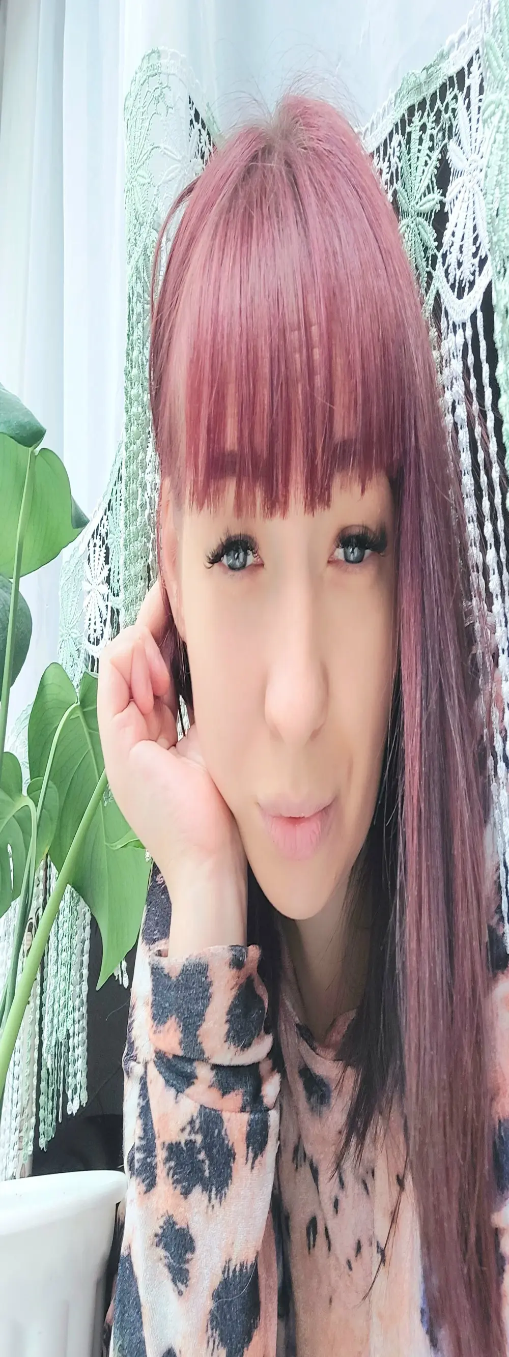 Tammy_Tabby