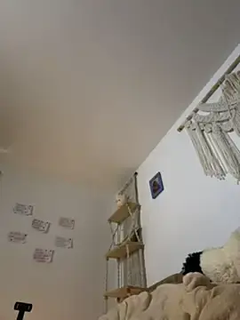 Stripchat Sex Chat of bergmanamii