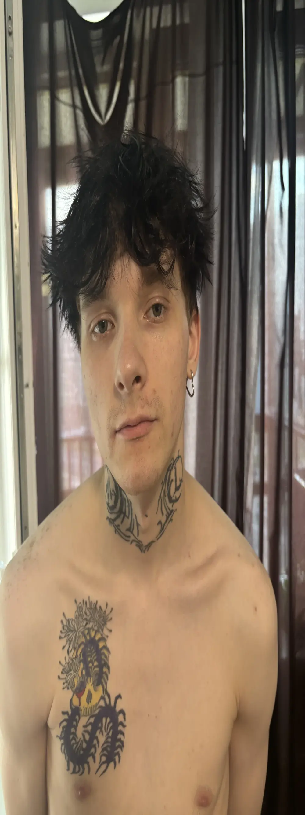 Frenchtamer