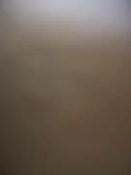 Stripchat Private Sex Chat of sammyqueenx21