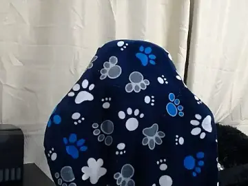 Stripchat Free Live Porn of Mariam_Gomezxxx