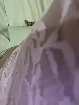 Stripchat Best Webcam of Ayybaebay