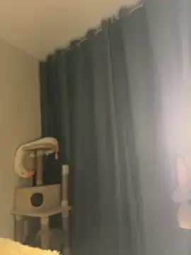 Stripchat Adult Video Chat of SEXY_CUMMING
