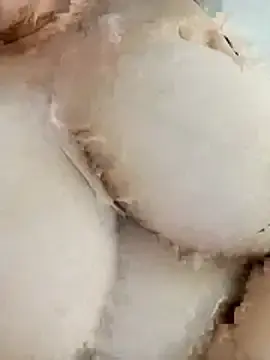 Stripchat Best Webcam of Sexy__Arab