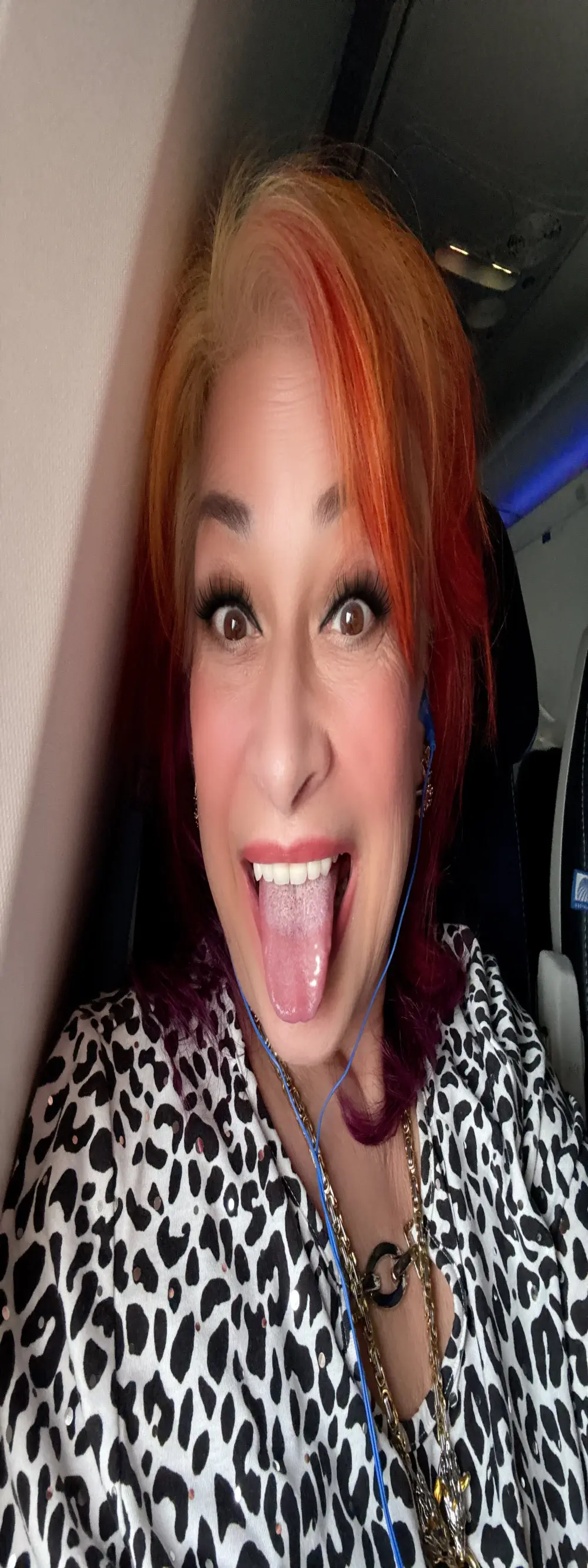 ZorynaDollHouse
