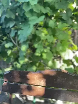 Stripchat Live Sex of LadyDreams11