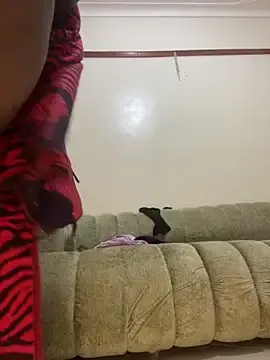 Stripchat Adult Webcams of sweet18creamybigpussy
