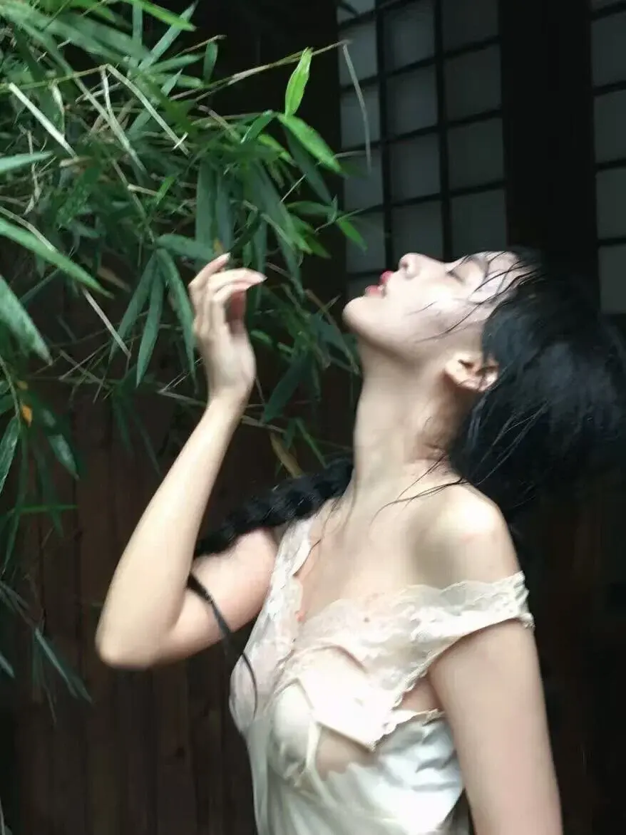 HiLILI-00