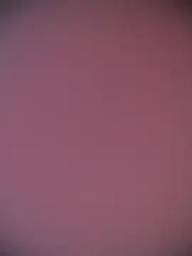 Stripchat Sex Cam of alana_69