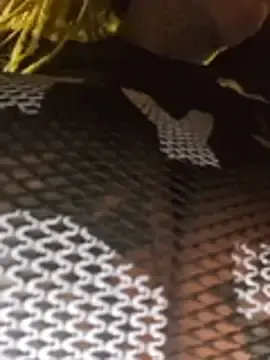 Stripchat Free Porn Cam of DarkDea