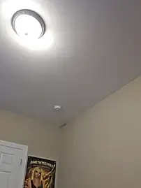 Stripchat Free Porn Cam of AmethystFoxx