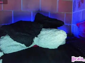 Stripchat Best Webcam of Cata-angel