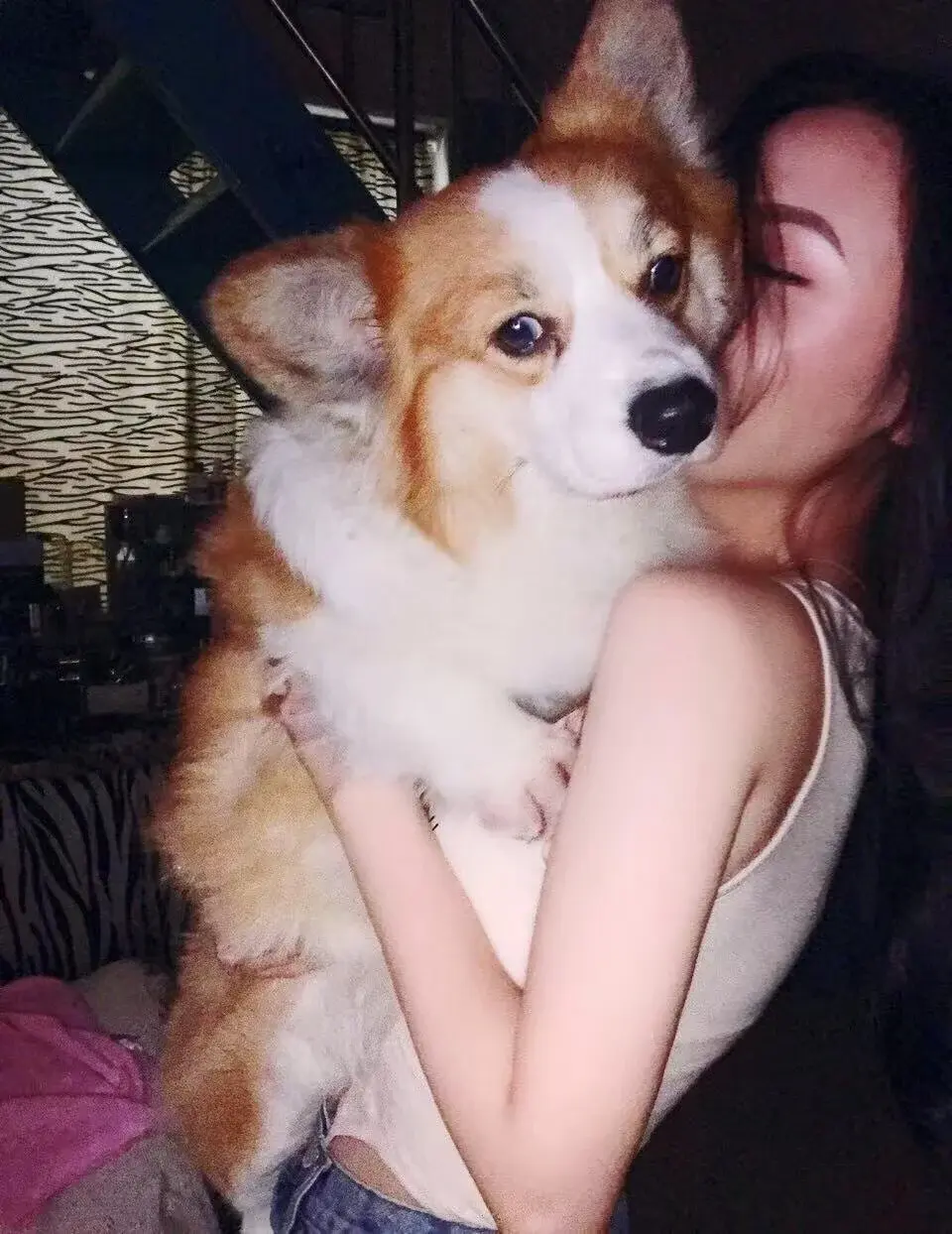 vyizh-
