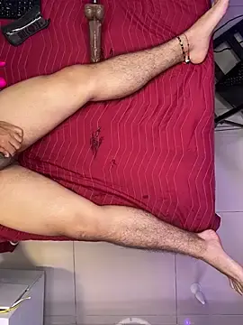 Stripchat Adult Webcam of PittAndLunaa