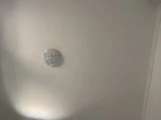 Xlovecam Adult Webcam of SandraSwweet